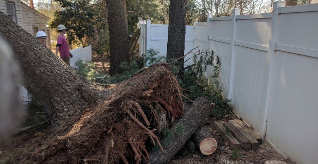 Stump Grinding photo