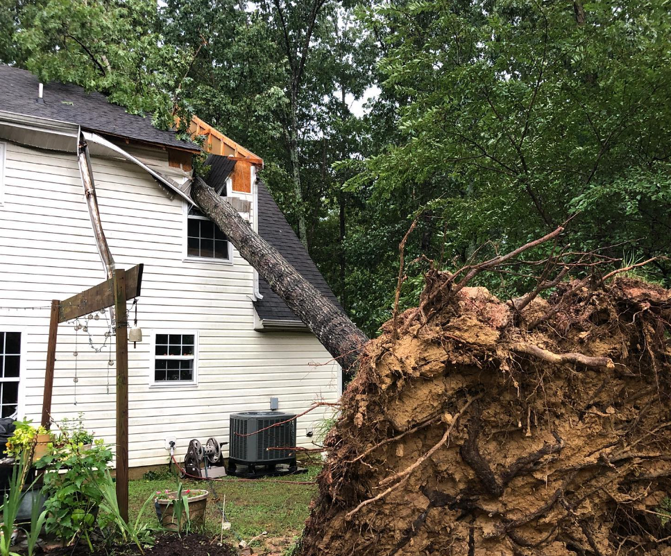 Emergency Storm Cleanup photo