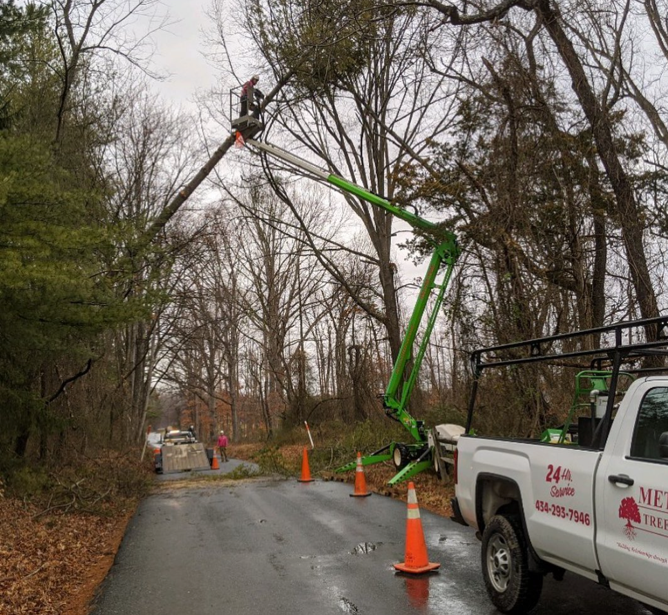 Roadside cleanup after tree work