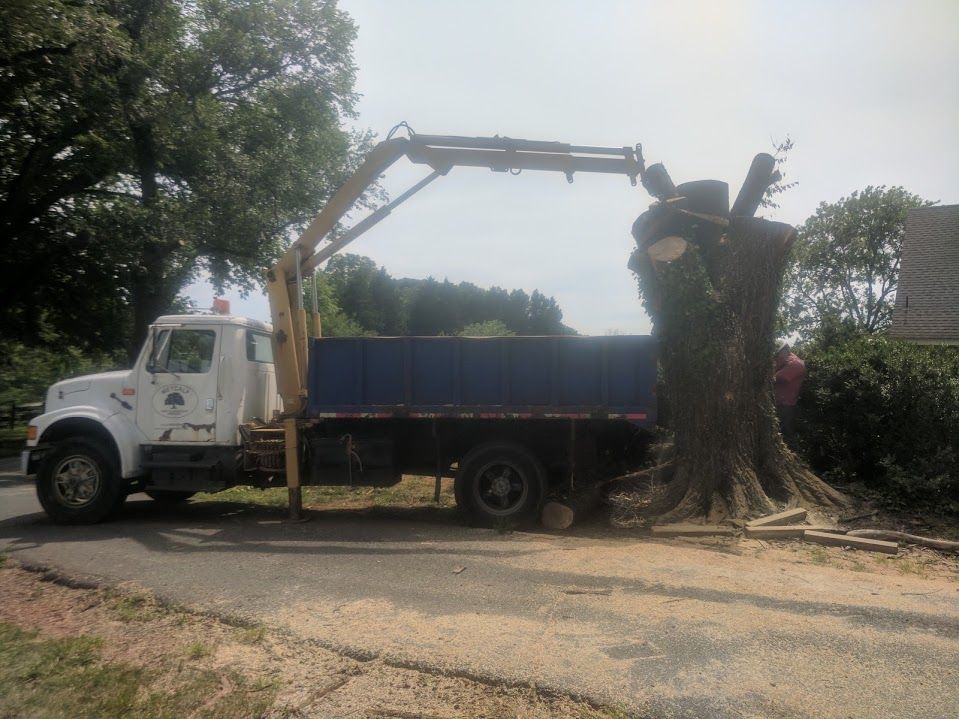 Finished stump removal result