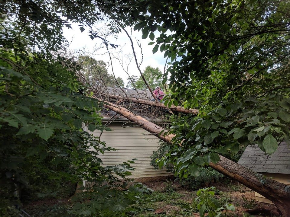 Metcalf Tree Service worksite photo